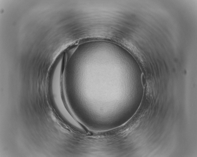 X0000089370580200707061116