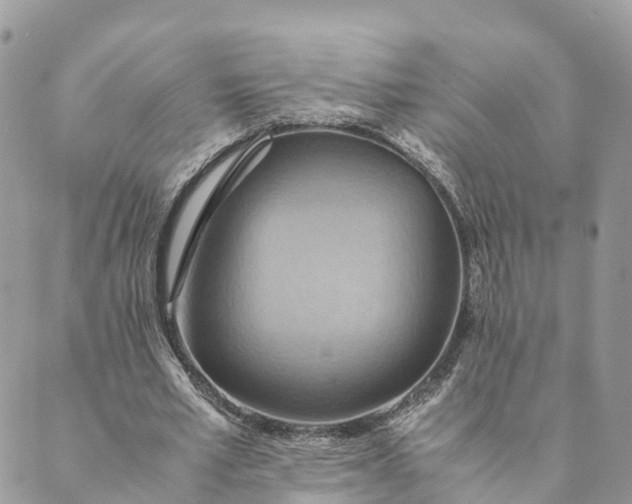 X0000089370581200707061116