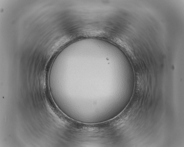 X0000089370582200707061116