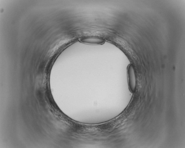 X0000089370583200707061116