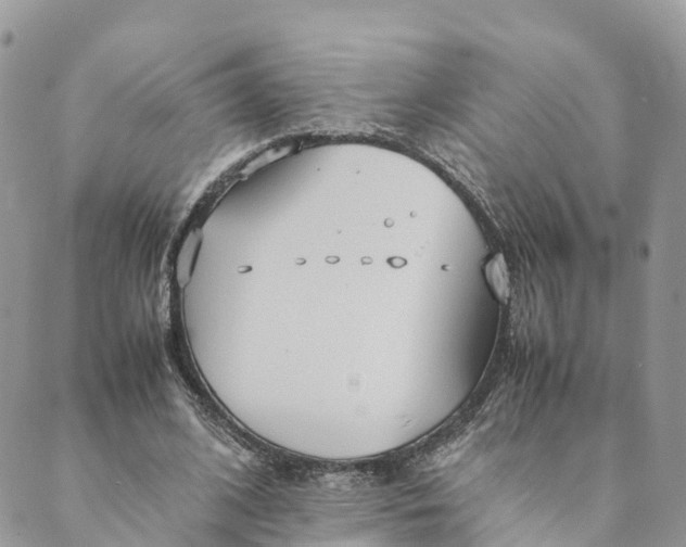 X0000089370584200707061116