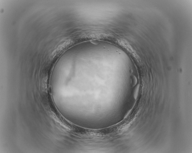 X0000089370585200707061116