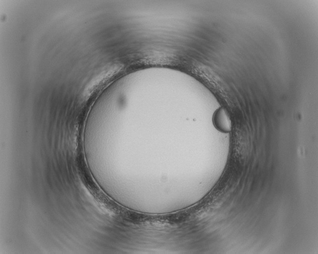 X0000089370586200707061116