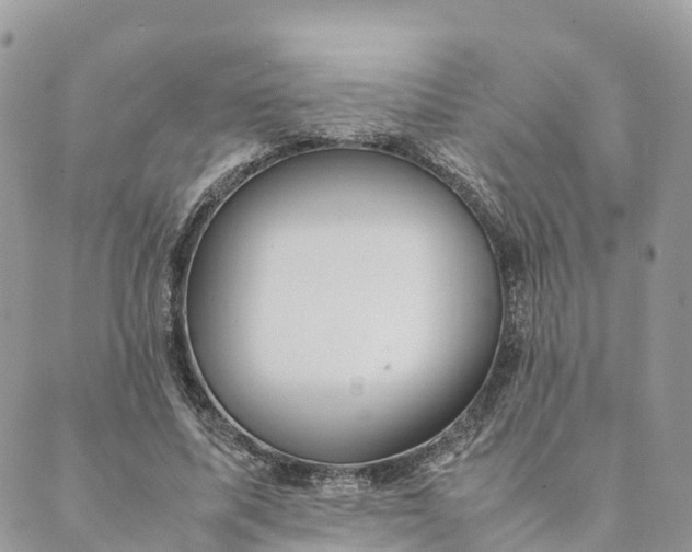 X0000089370587200707061116