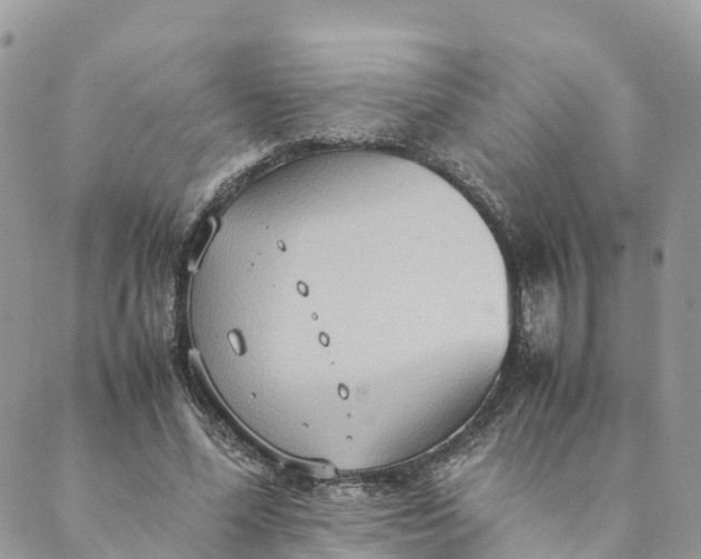 X0000089370588200707061116