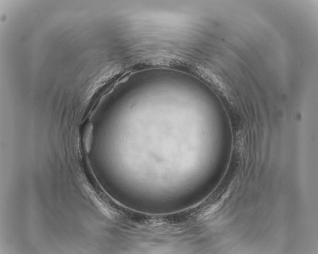 X0000089370589200707061116