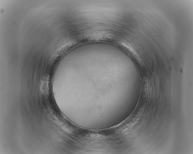 X0000089370590200707061116