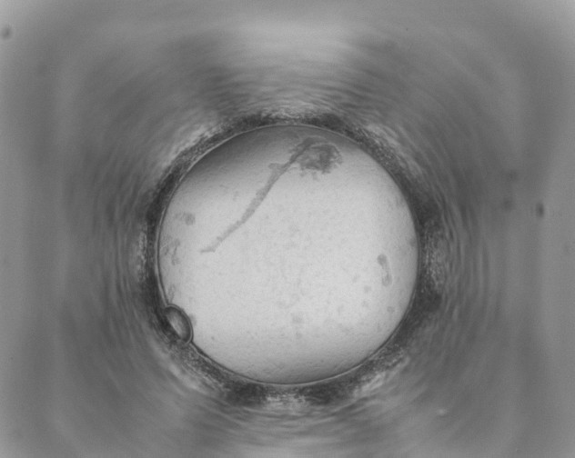 X0000089370591200707061116