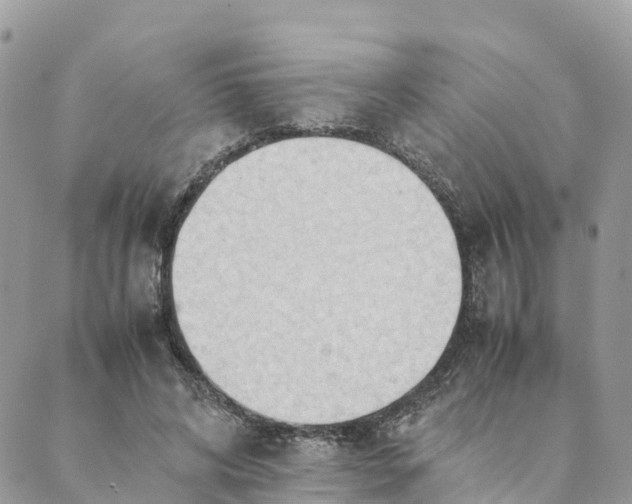 X0000089370592200707061116