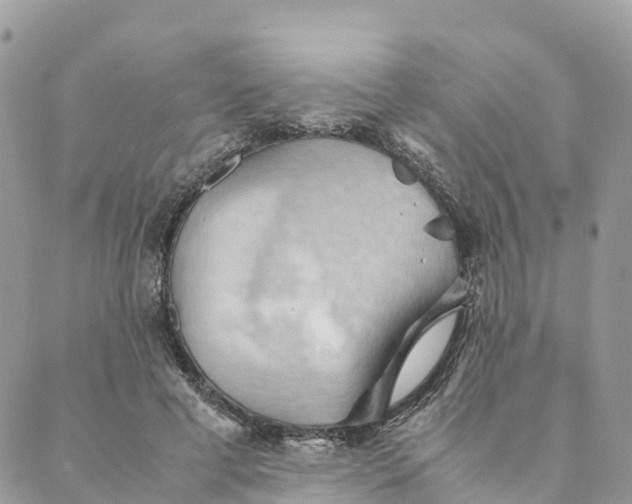 X0000089370593200707061116