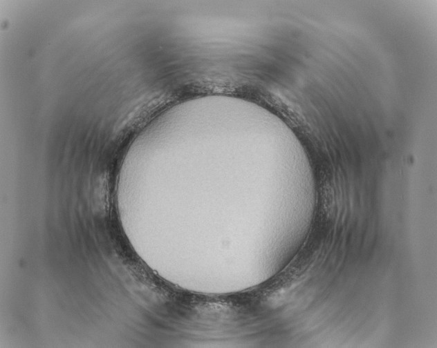 X0000089370594200707061116