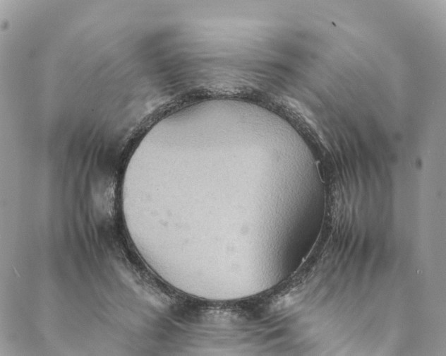 X0000089370596200707061116