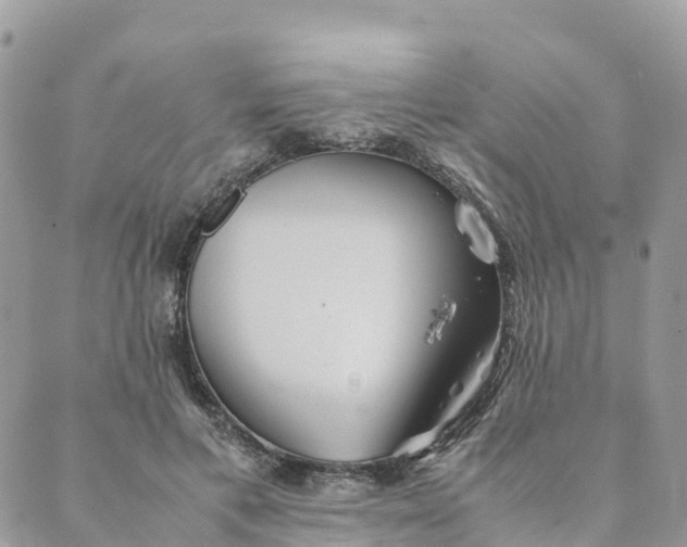 X0000089370597200707061116