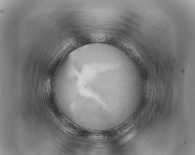 X0000089370598200707061116