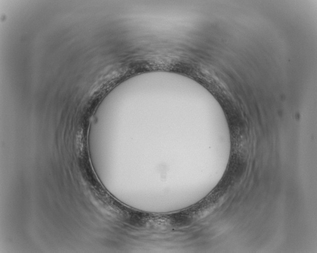 X0000089370599200707061116