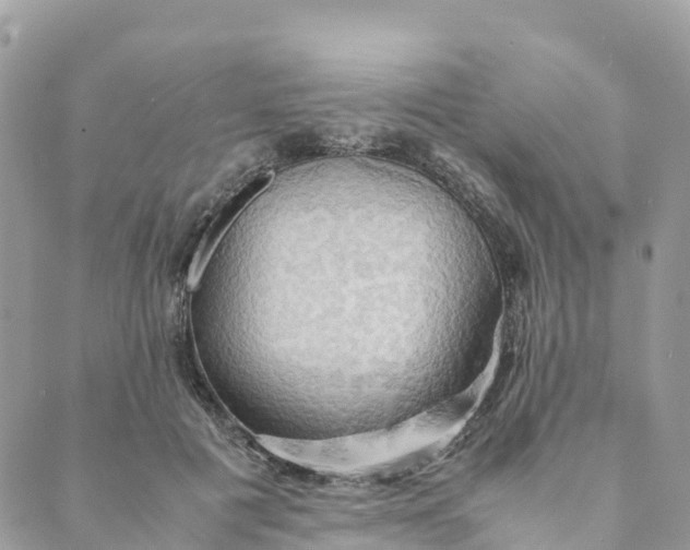 X0000089370601200707061116