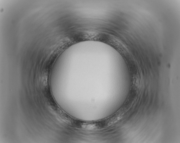 X0000089370602200707061116