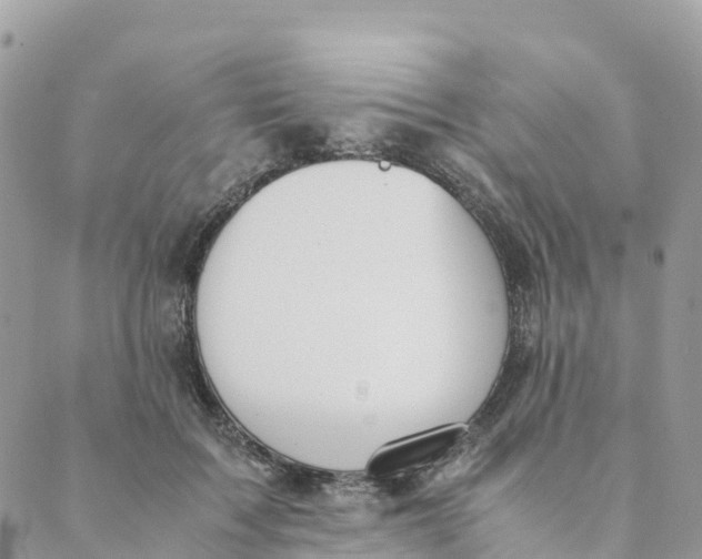 X0000089370603200707061116