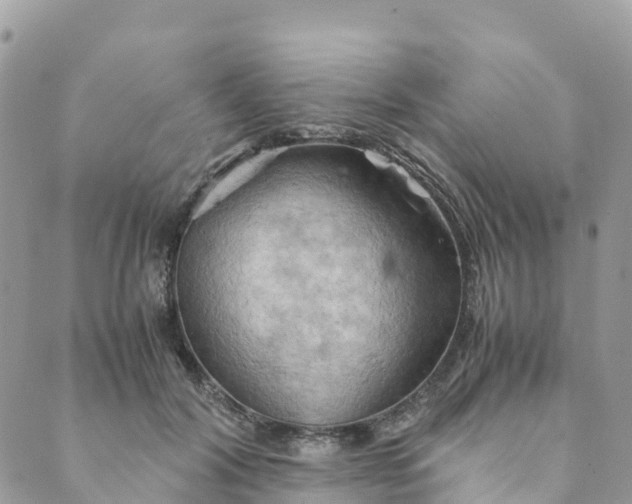 X0000089370604200707061116