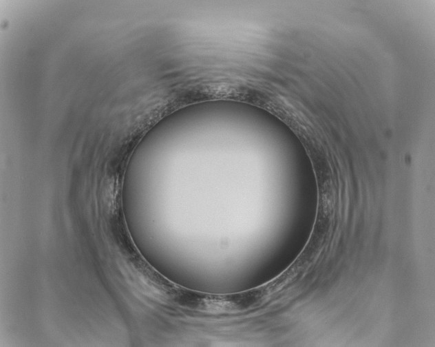 X0000089370605200707061116