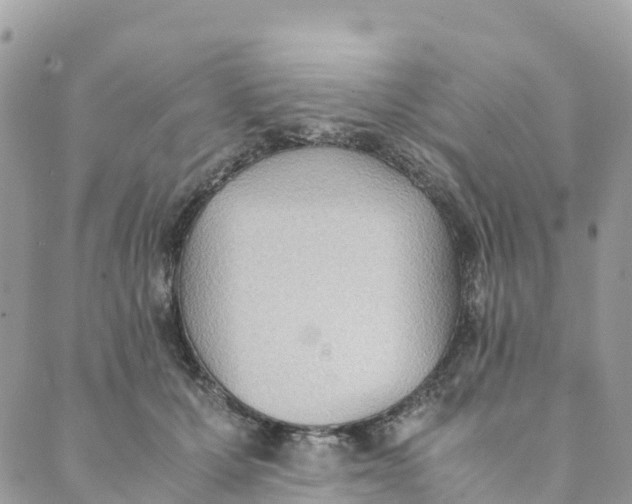 X0000089370607200707061116