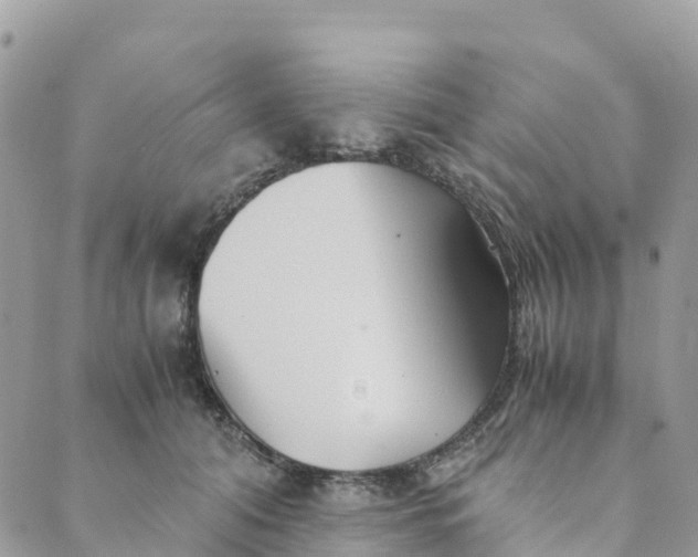 X0000089370608200707061116