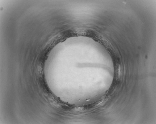 X0000089370609200707061116