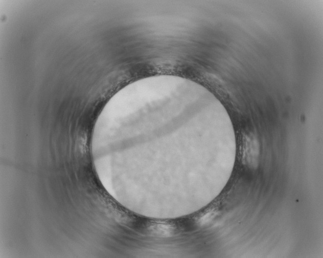 X0000089370610200707061116