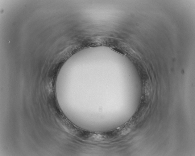 X0000089370611200707061116