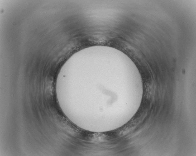 X0000089370612200707061116