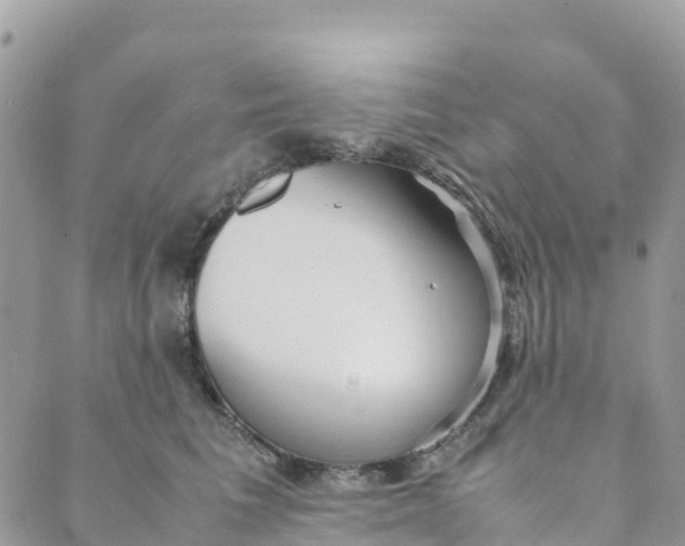 X0000089370613200707061116