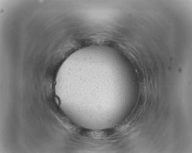 X0000089370615200707061116