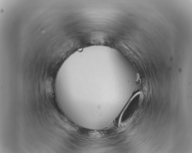 X0000089370616200707061116