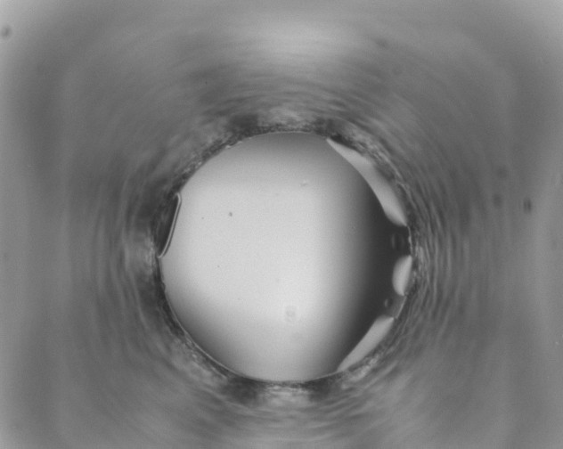 X0000089370617200707061116