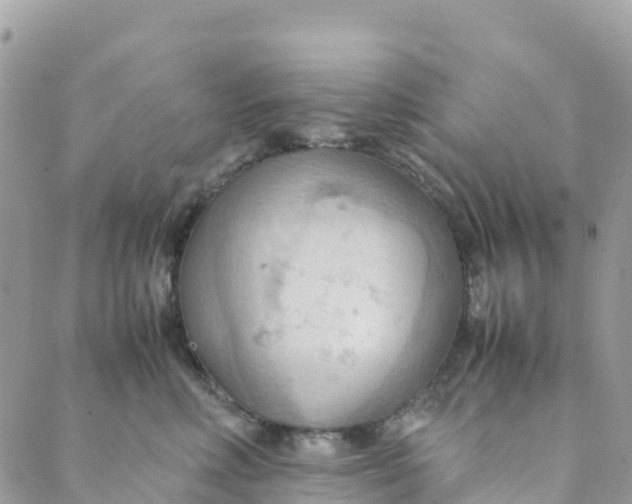 X0000089370618200707061116