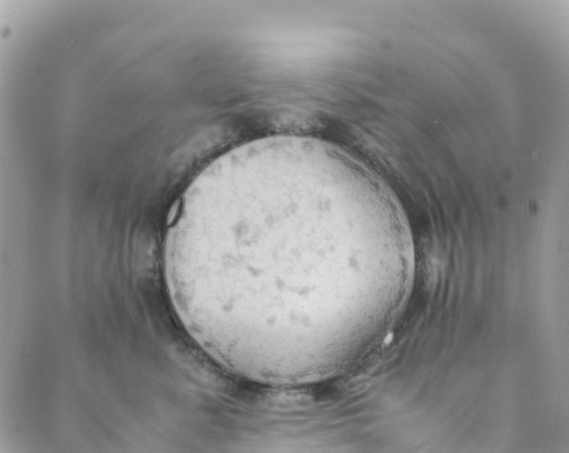 X0000089370619200707061116