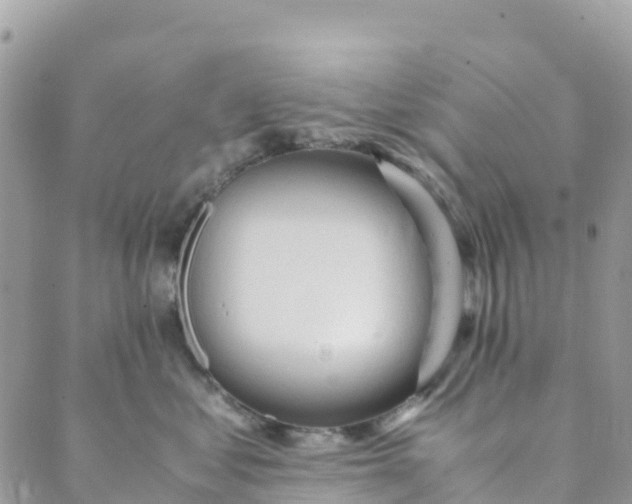 X0000089370621200707061116