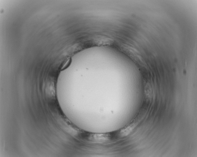 X0000089370622200707061116