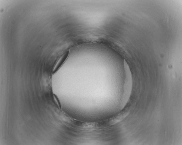 X0000089370624200707061116