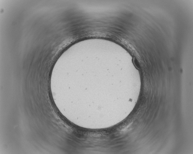 X0000089370625200707061115