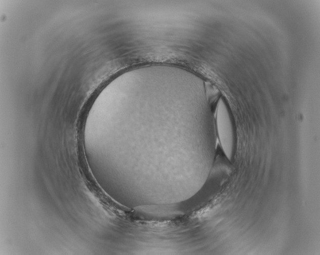 X0000089370626200707061115