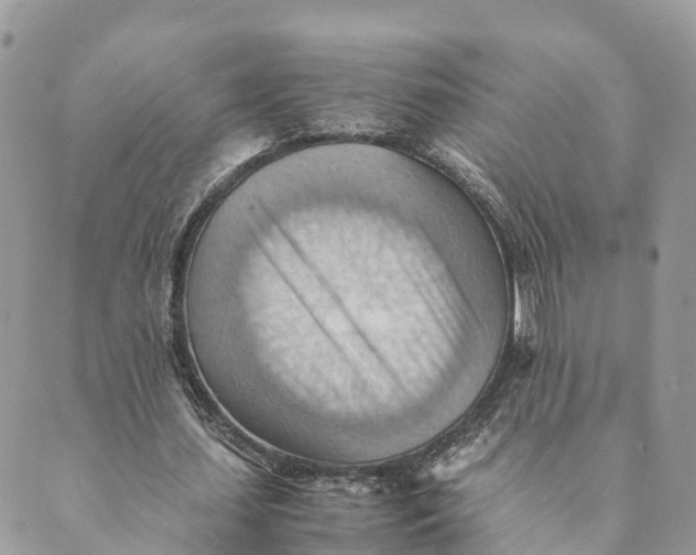 X0000089370627200707061115