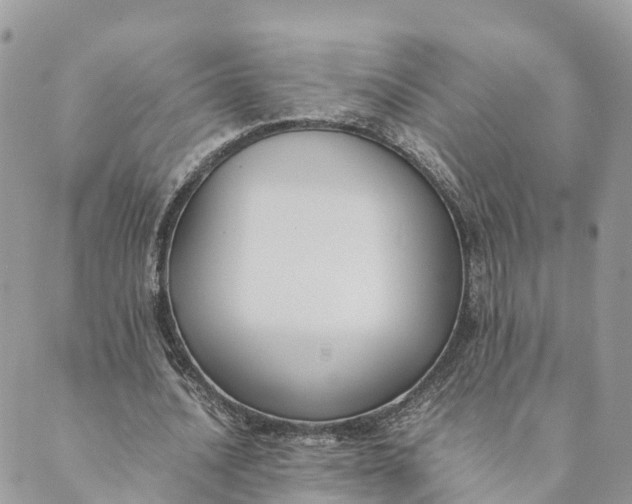 X0000089370628200707061115