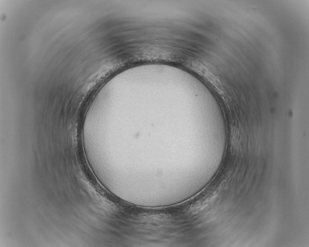 X0000089370629200707061115