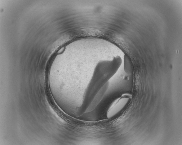 X0000089370630200707061115