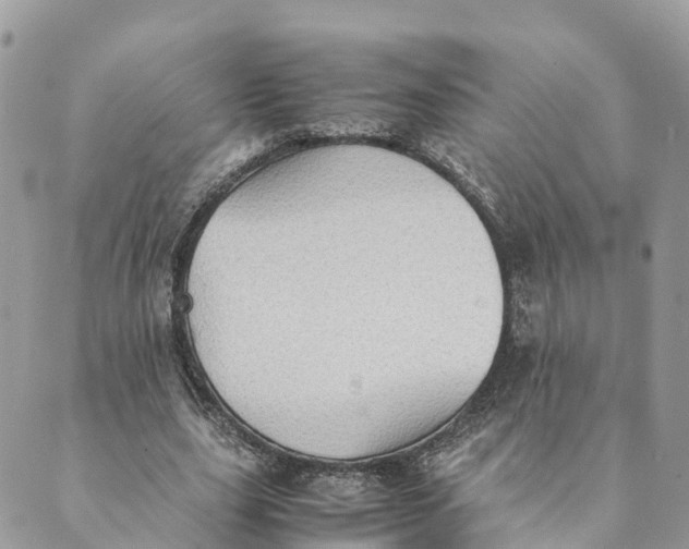 X0000089370631200707061115