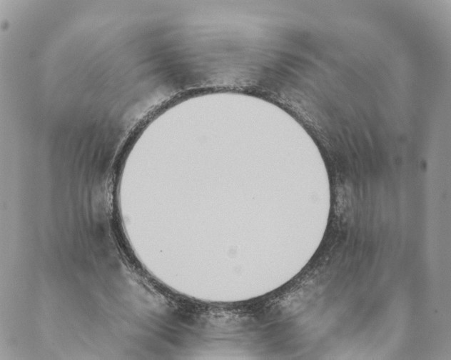 X0000089370632200707061115