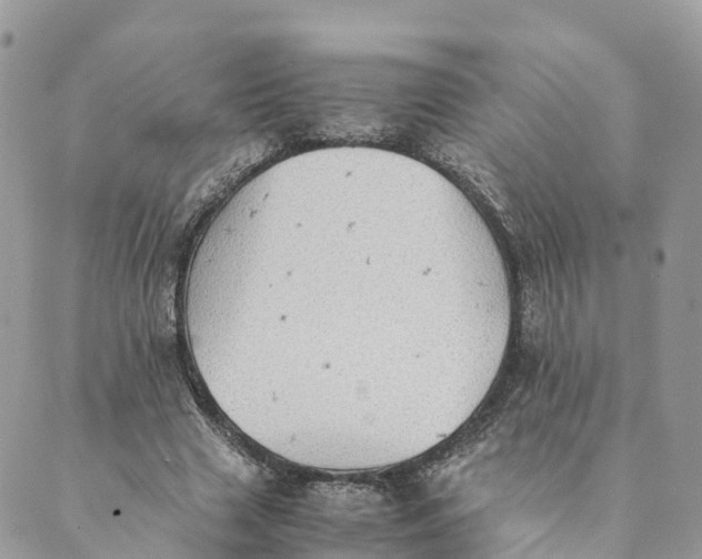 X0000089370633200707061115