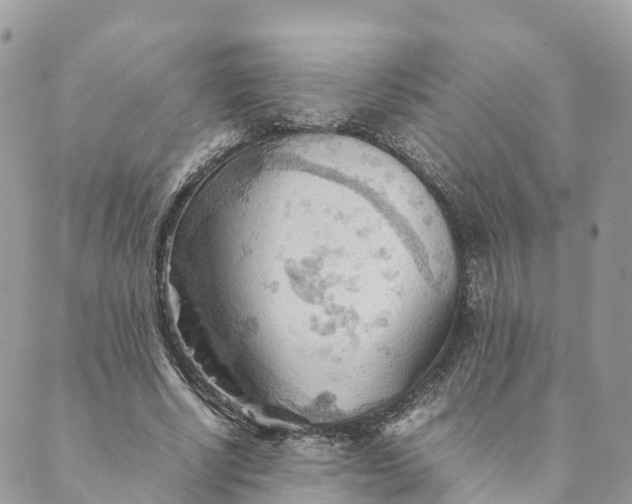 X0000089370634200707061115