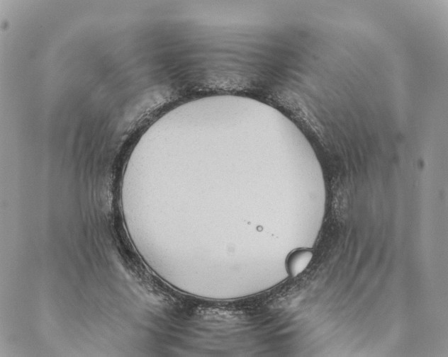 X0000089370635200707061115